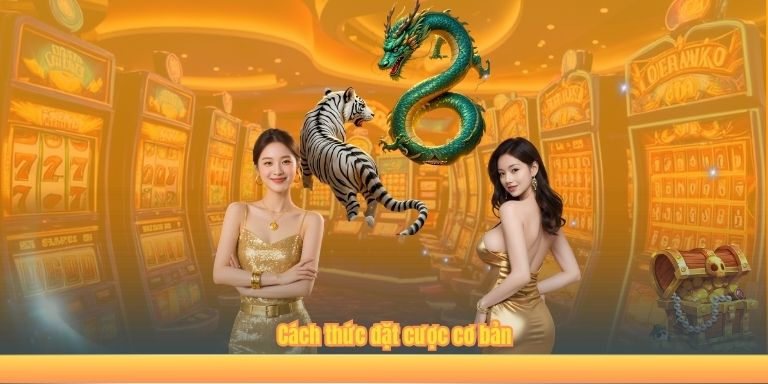 Rồng Hổ 123B – Game Thử Vận May Thay Đổi Tất Cả Cách thức đặt cược cơ bản