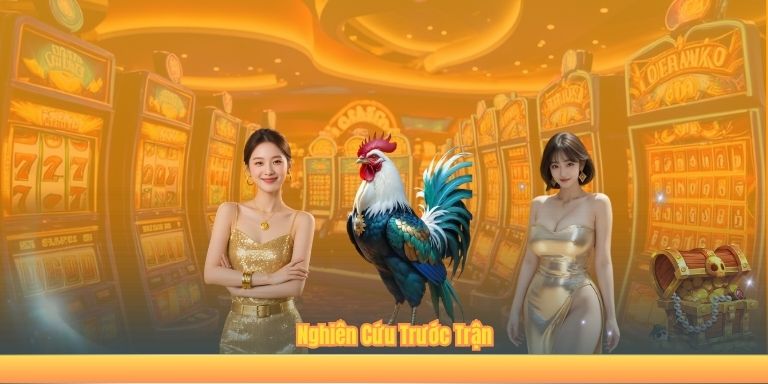 Đá Gà Tre 123B - Hướng Dẫn Toàn Diện Từ Luật Chơi Đến Chọn Chiến Kê Nghiên Cứu Trước Trận